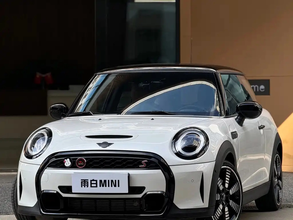 MINI OTHER