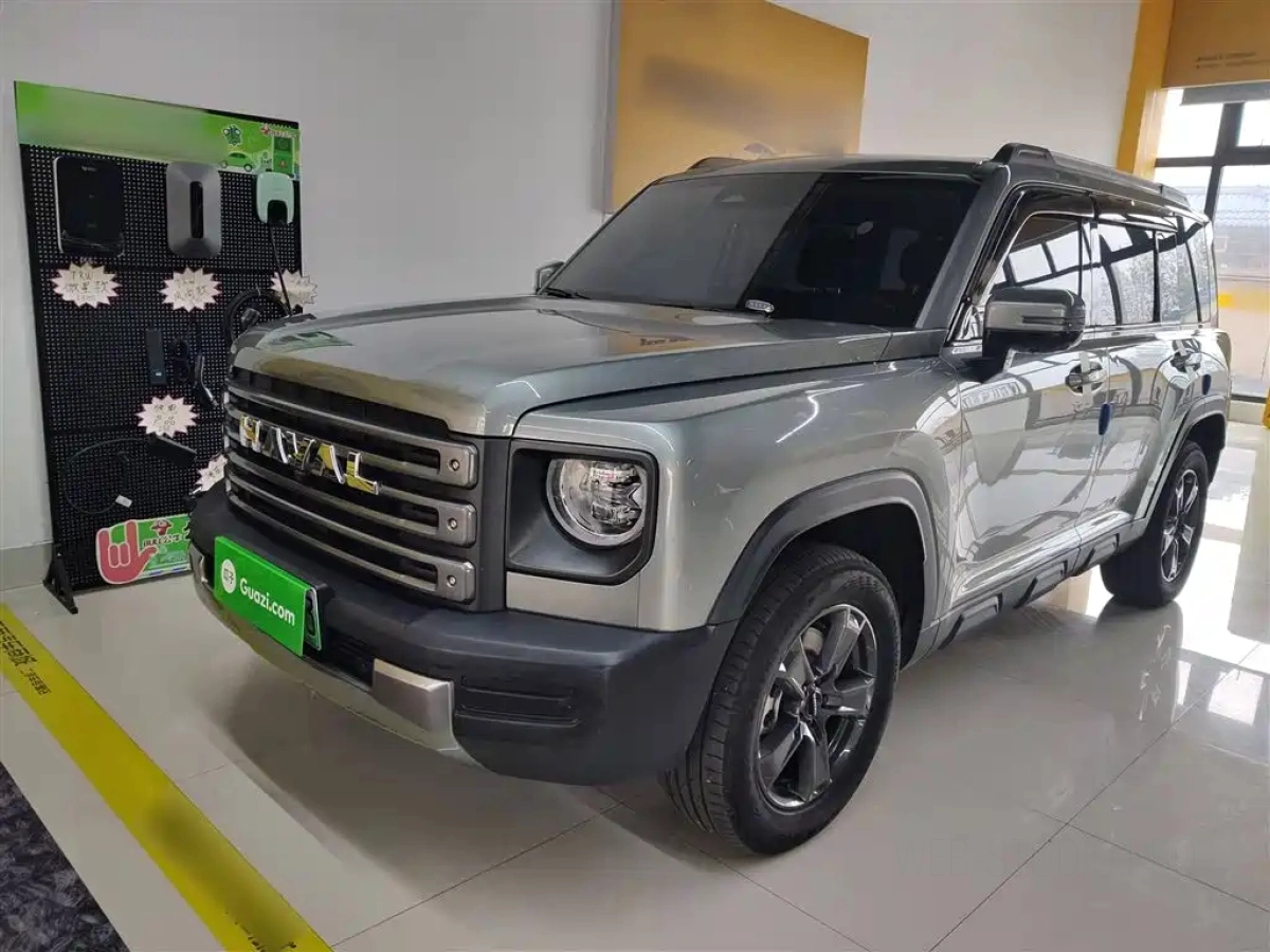 HAVAL RAPTOR NEW ENERGY  2024