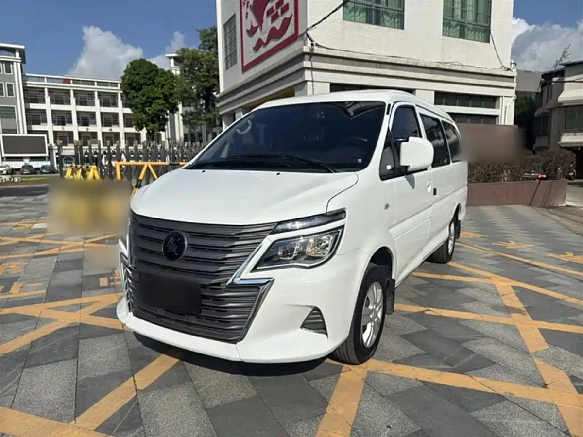 DONGFENG LINGZHI  2024