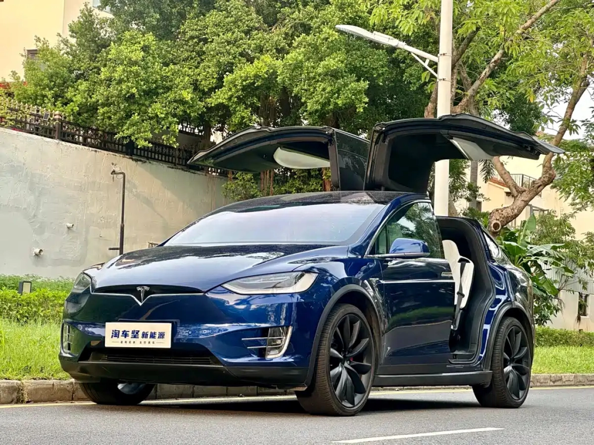 TESLA MODEL X