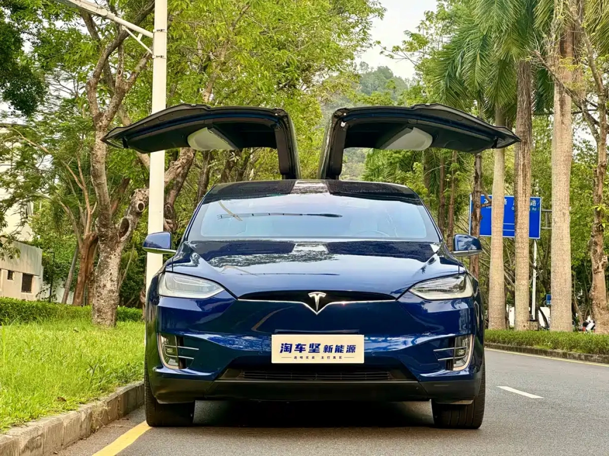 TESLA MODEL X