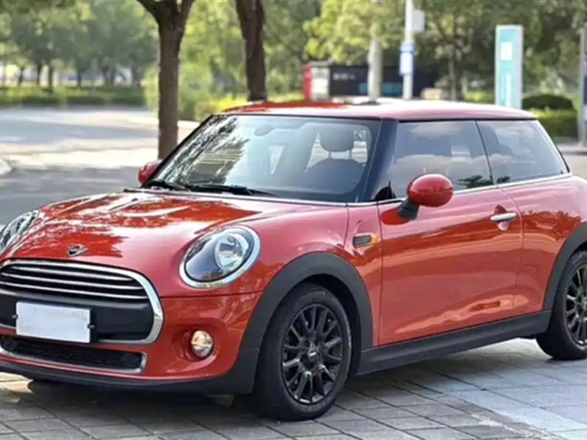 MINI OTHER  2019