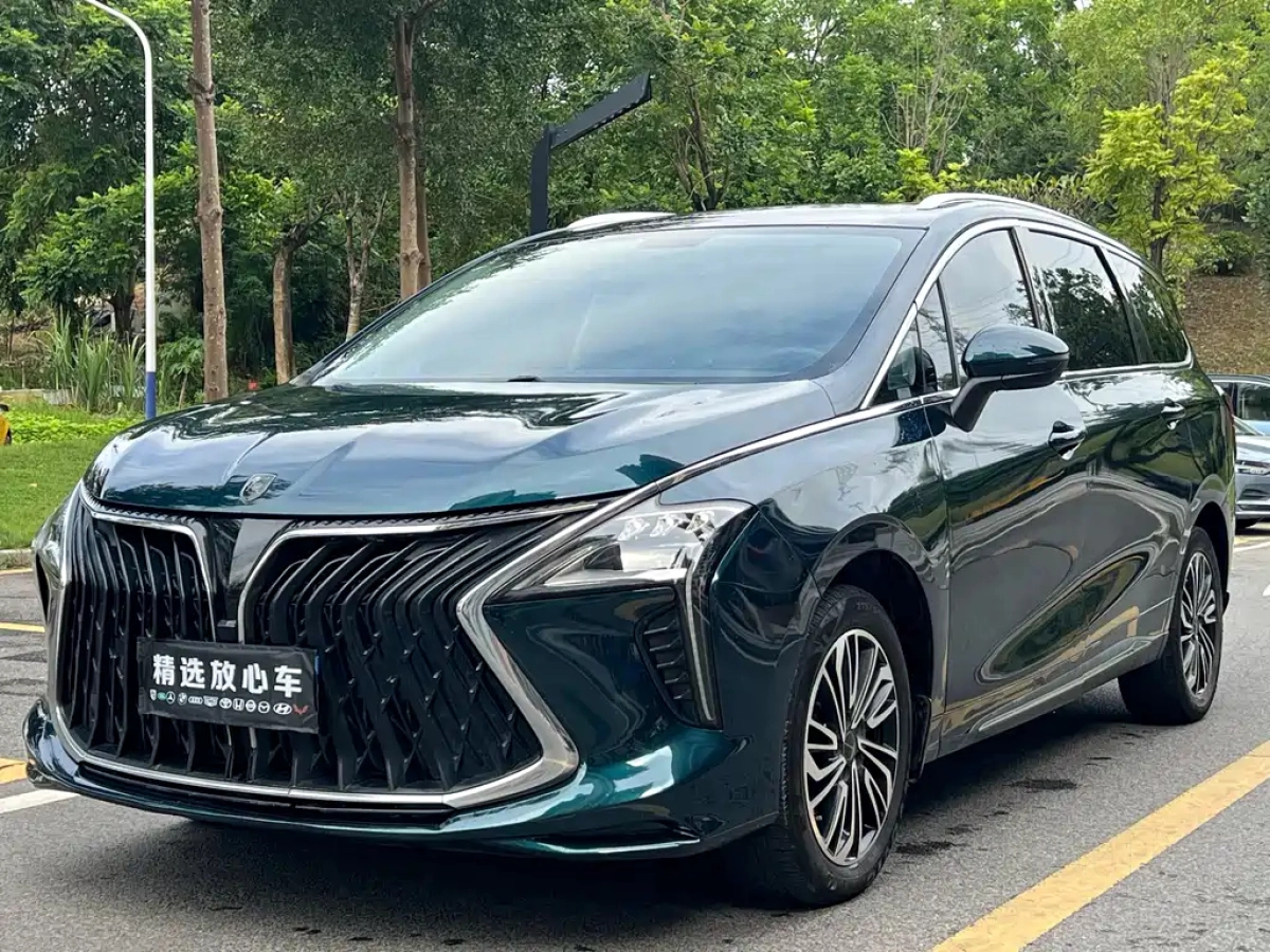 DONGFENG FORTHING 游艇