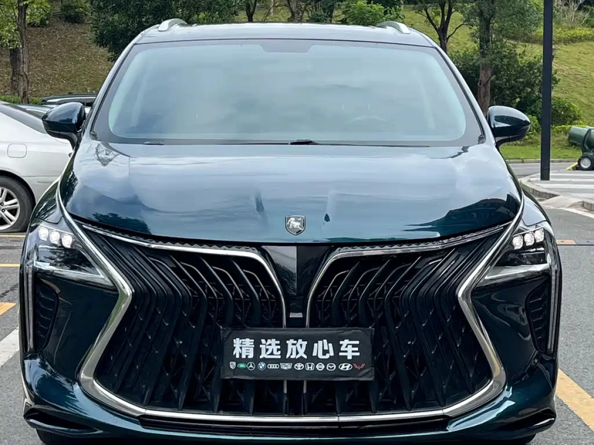 DONGFENG FORTHING 游艇