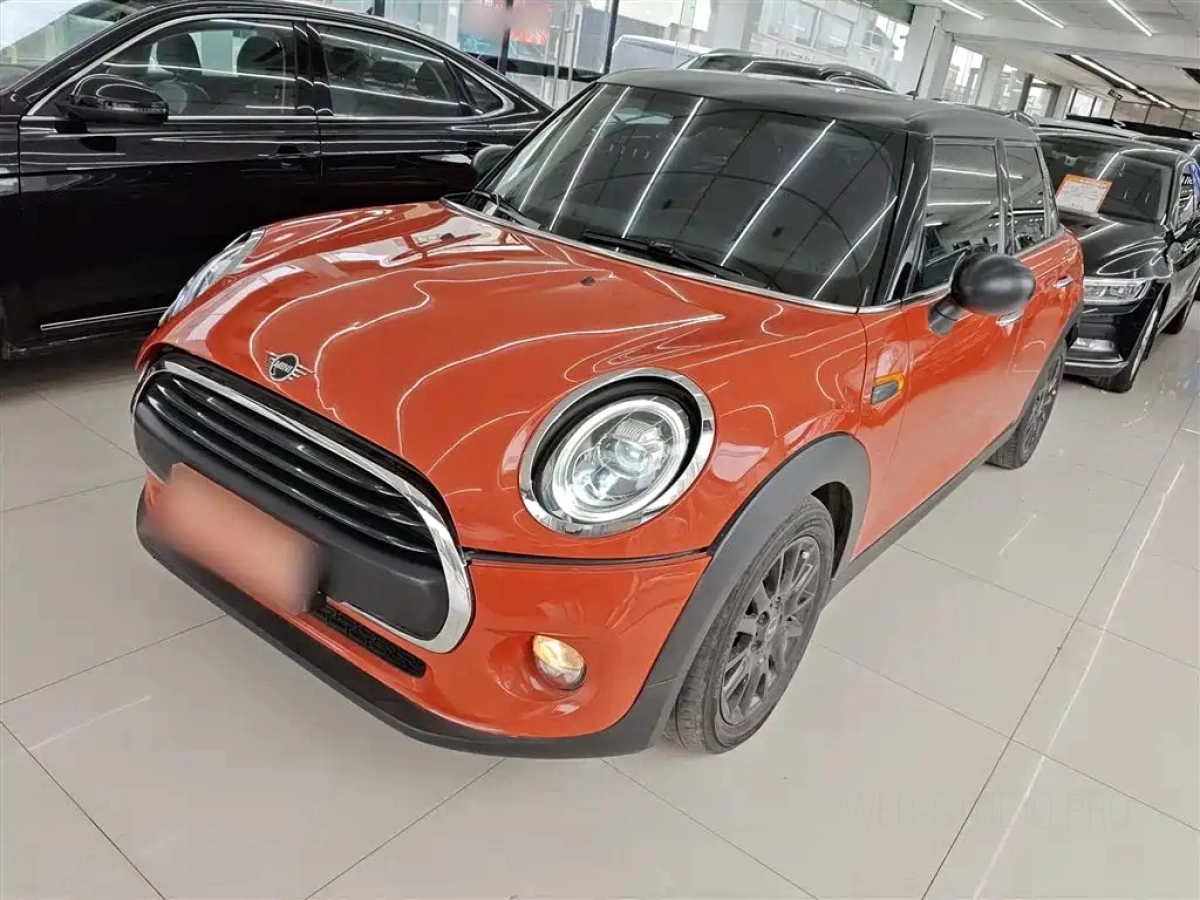 MINI OTHER  2019