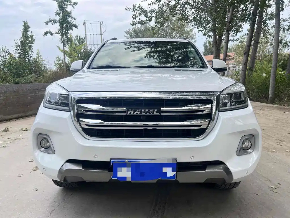 HAVAL H9
