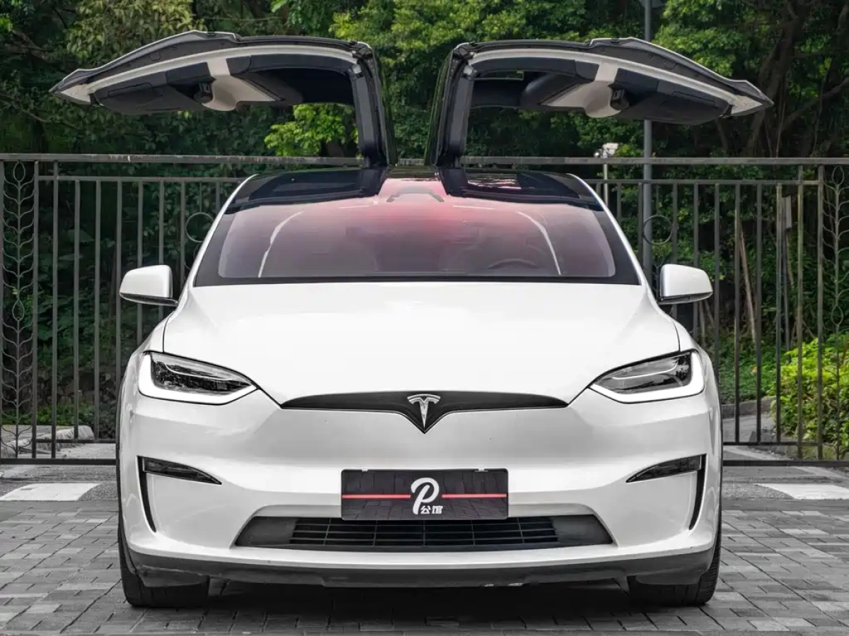 TESLA MODEL X