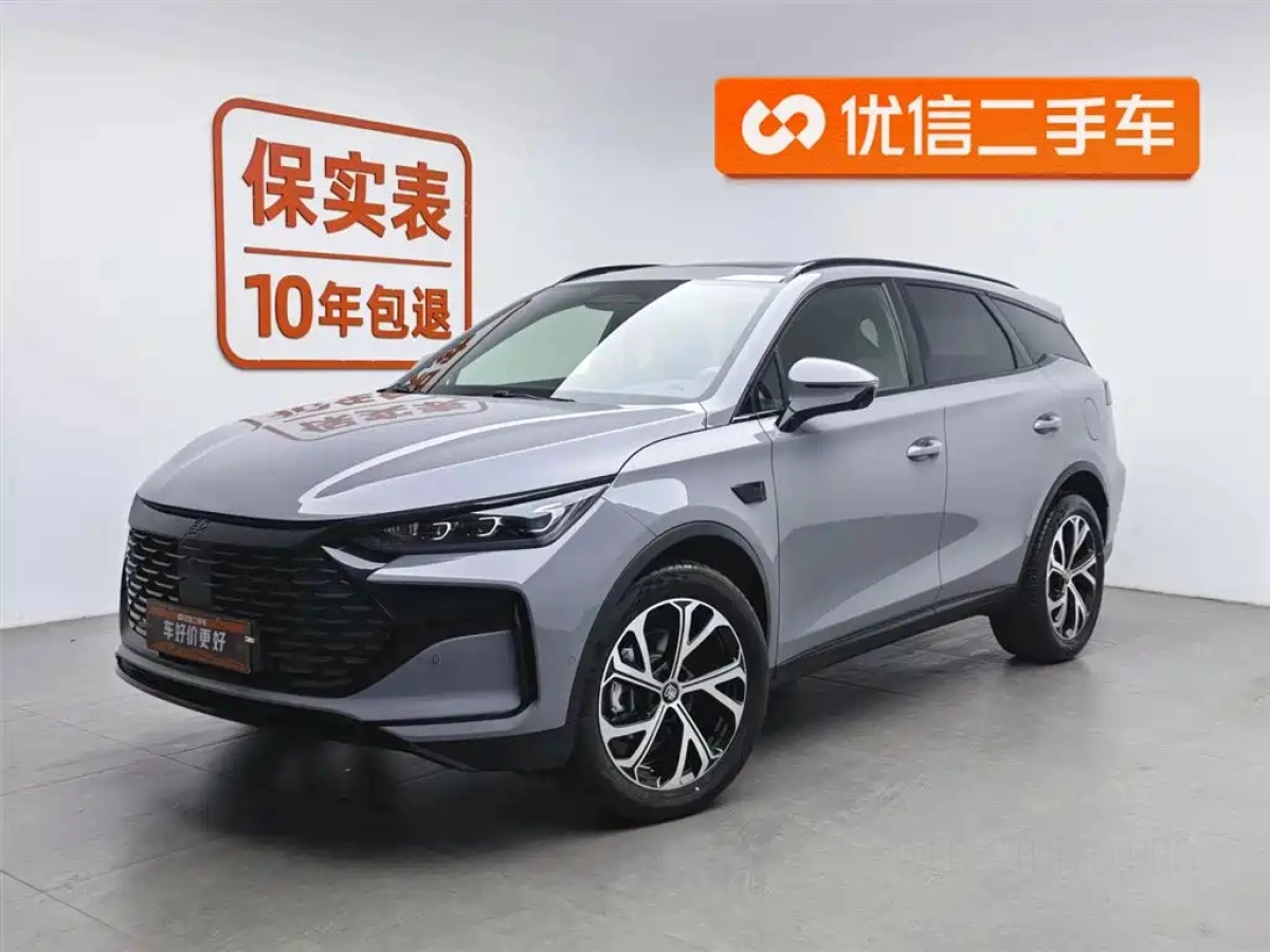 BYD TANG NEW ENERGY