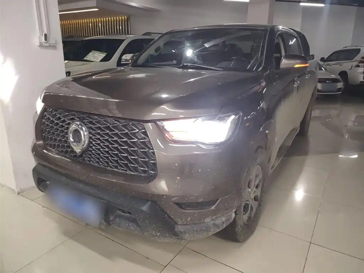 GREAT WALL POER  2022