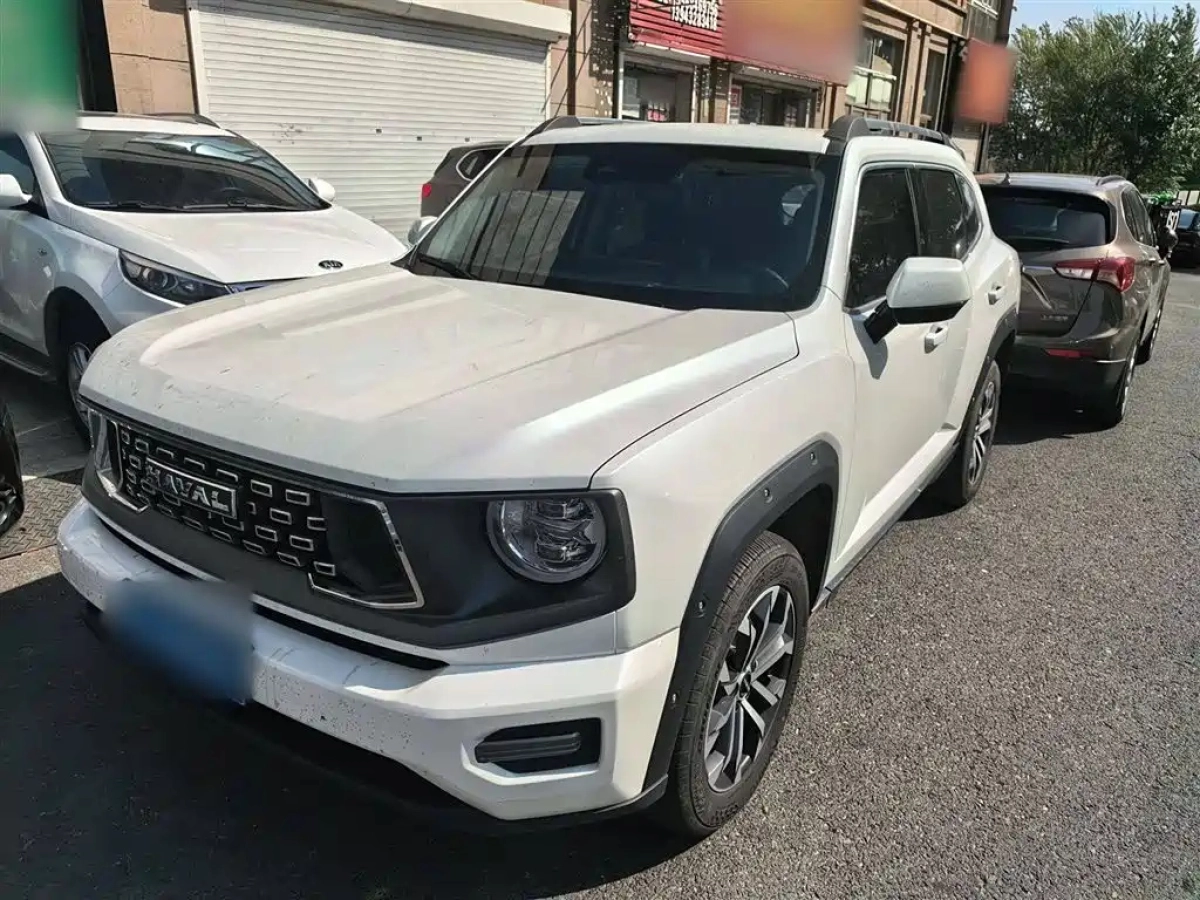 HAVAL BIG DOG II