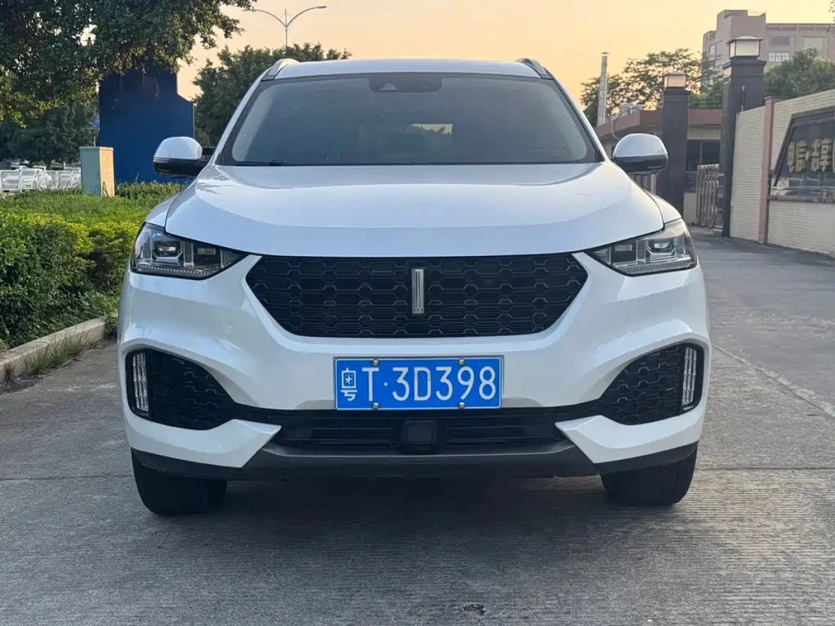 WEY VV6  2019