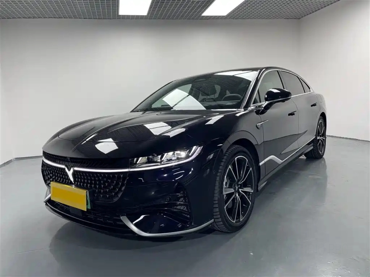 VOYAH ZHUIGUANG  2023