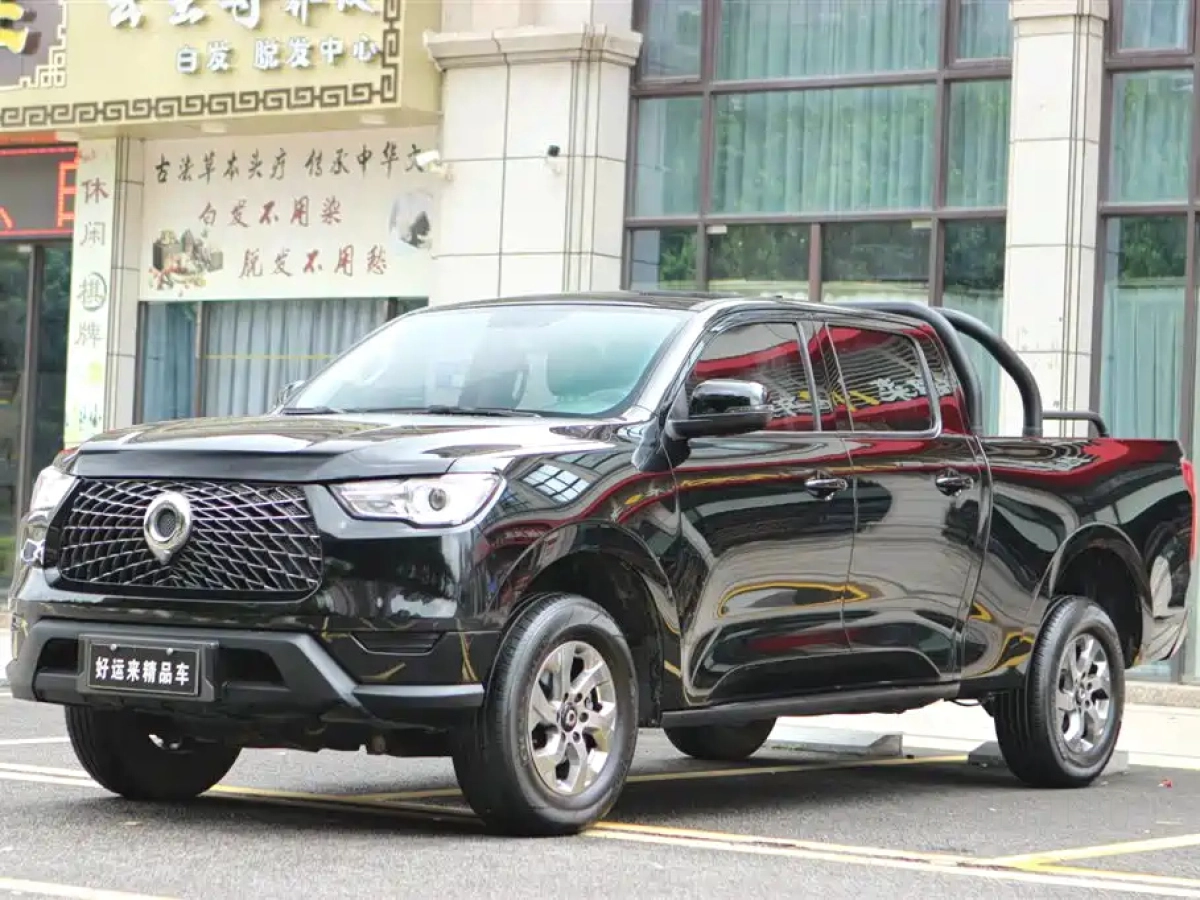 GREAT WALL POER  2022