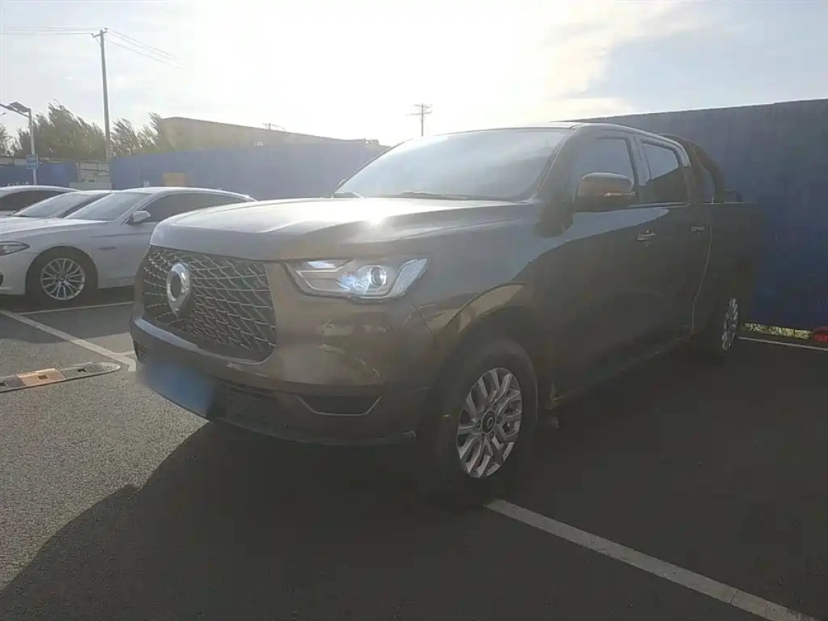 GREAT WALL POER  2021