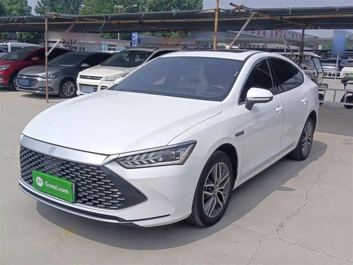 BYD QIN PLUS  2024