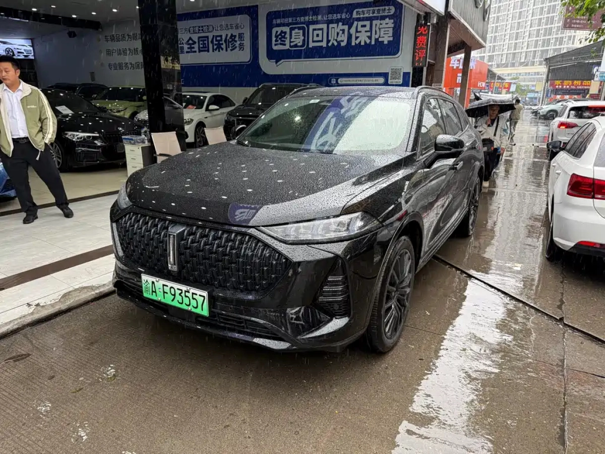 WEY 摩卡 NEW ENERGY