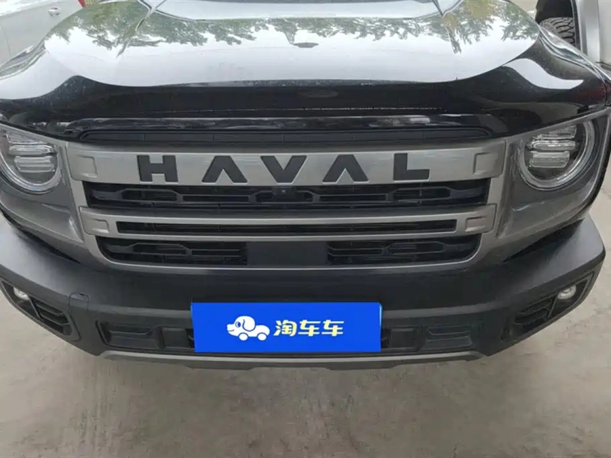 HAVAL BIG DOG