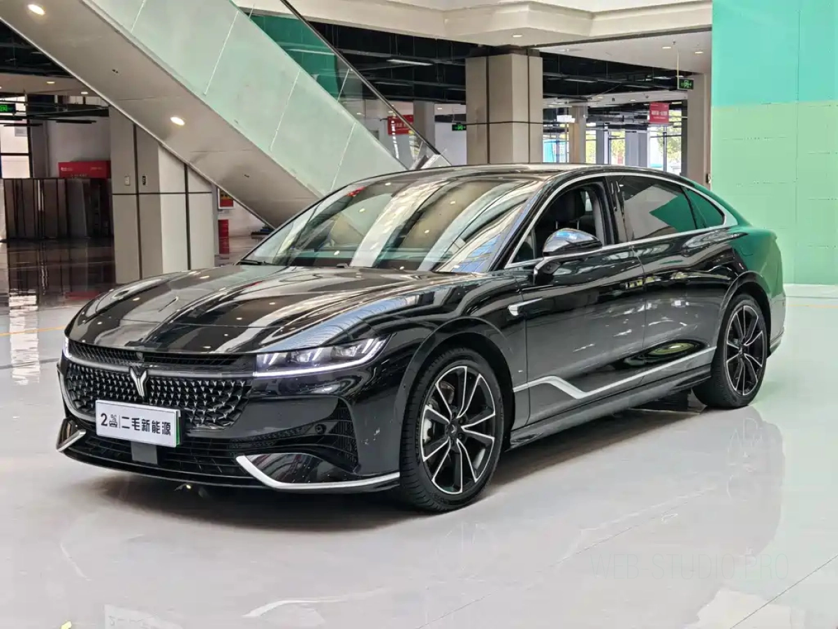 VOYAH ZHUIGUANG  2024