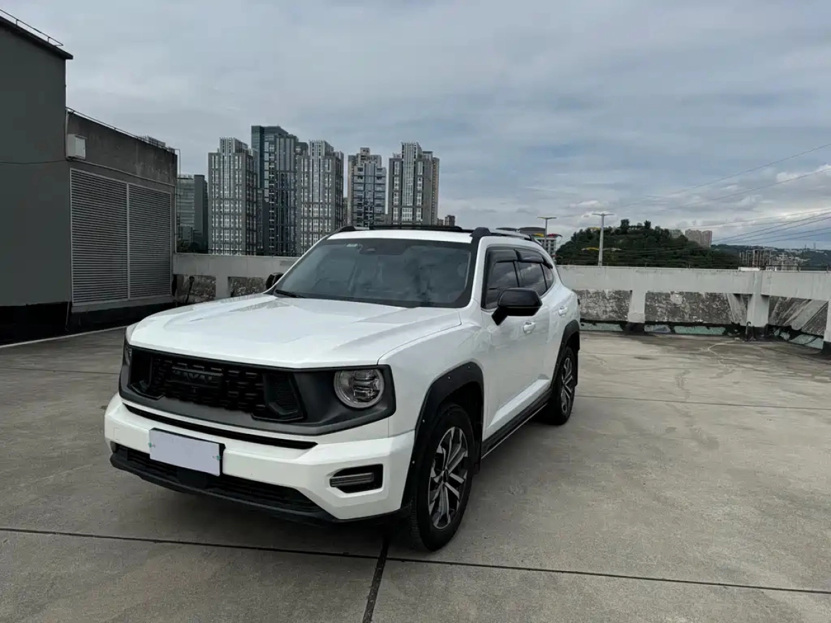 HAVAL BIG DOG II