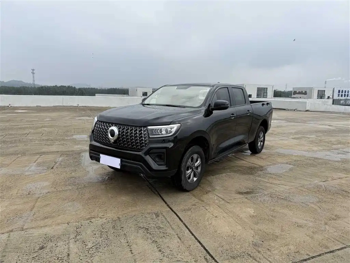 GREAT WALL POER  2023