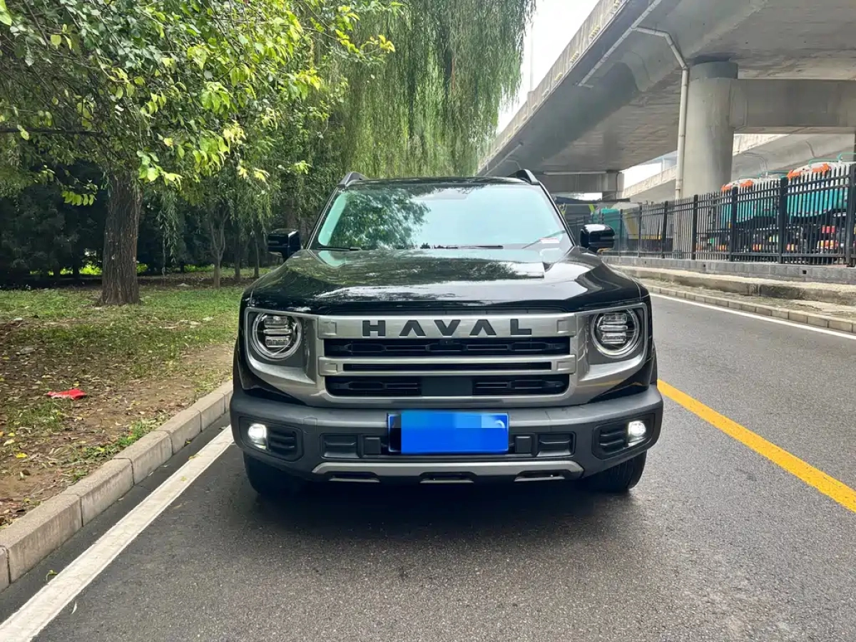 HAVAL BIG DOG