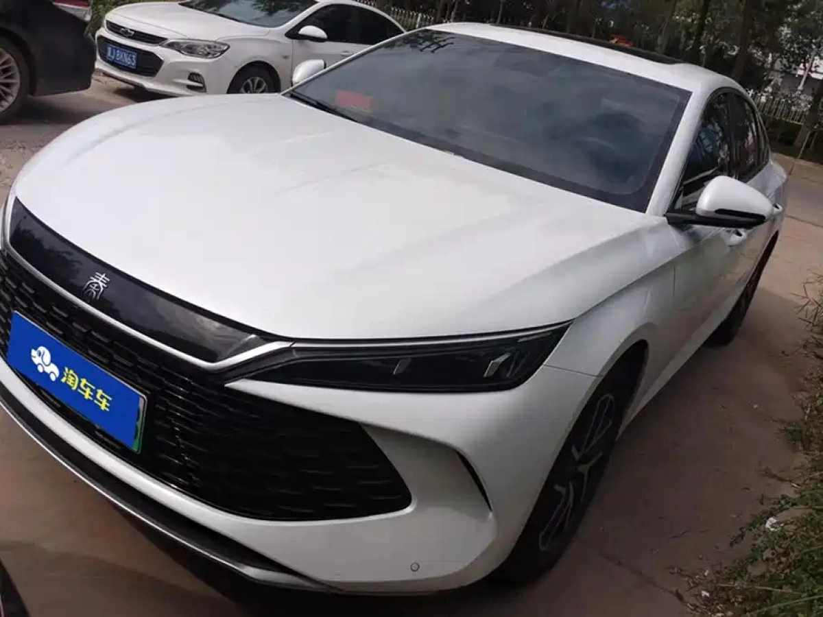 BYD QIN L  2025