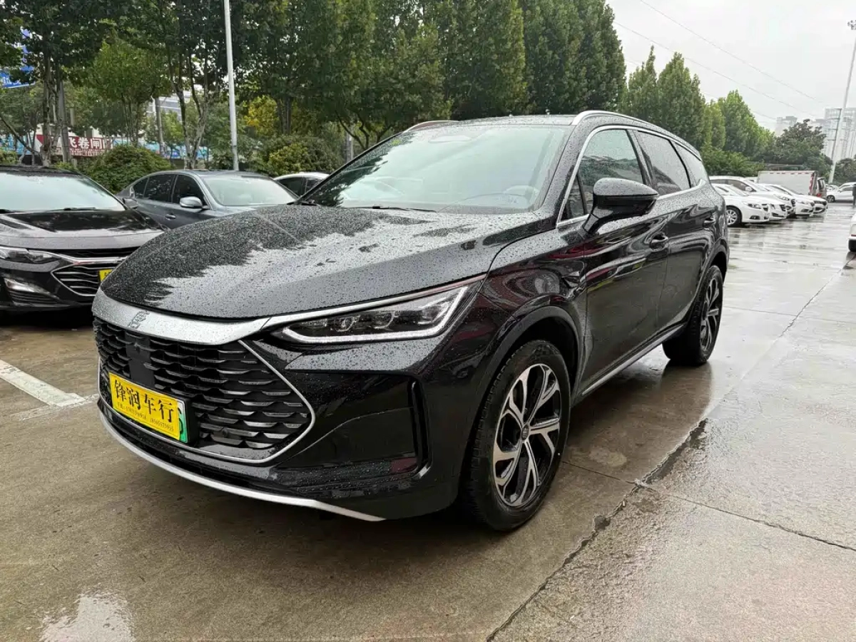 BYD TANG NEW ENERGY  2025