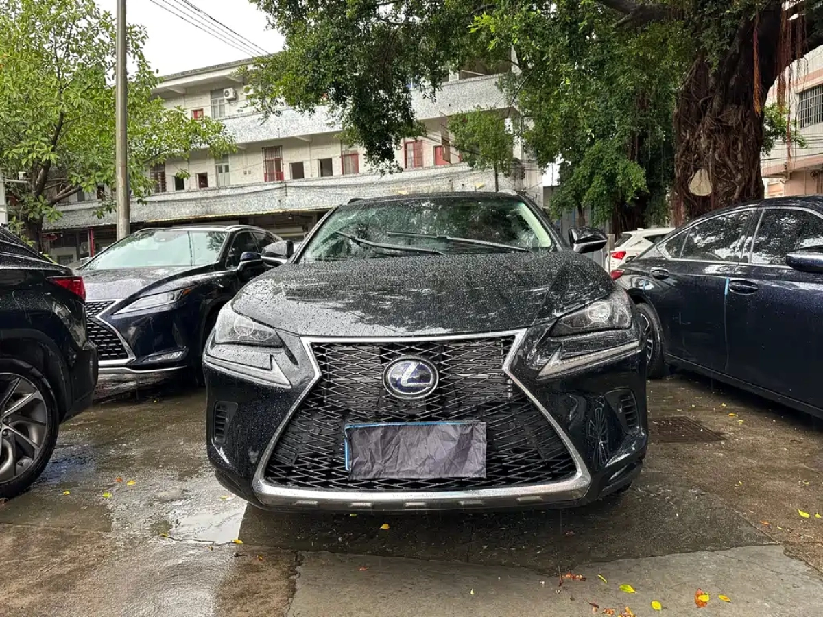 LEXUS NX