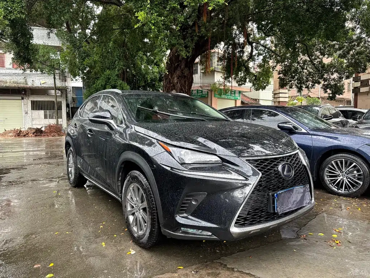 LEXUS NX