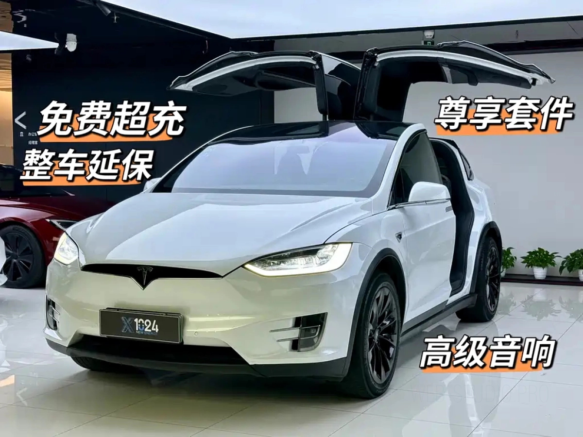 TESLA MODEL X