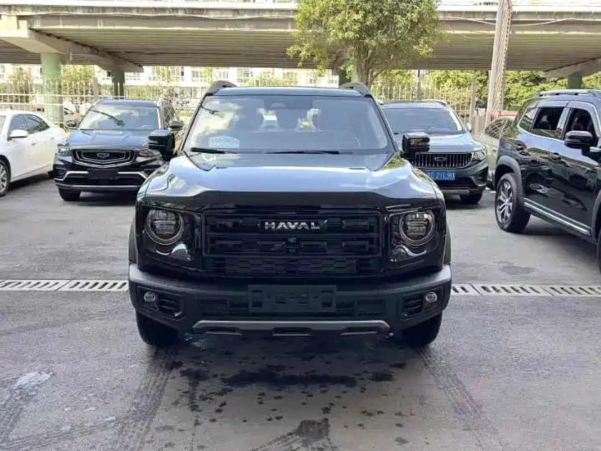 HAVAL BIG DOG