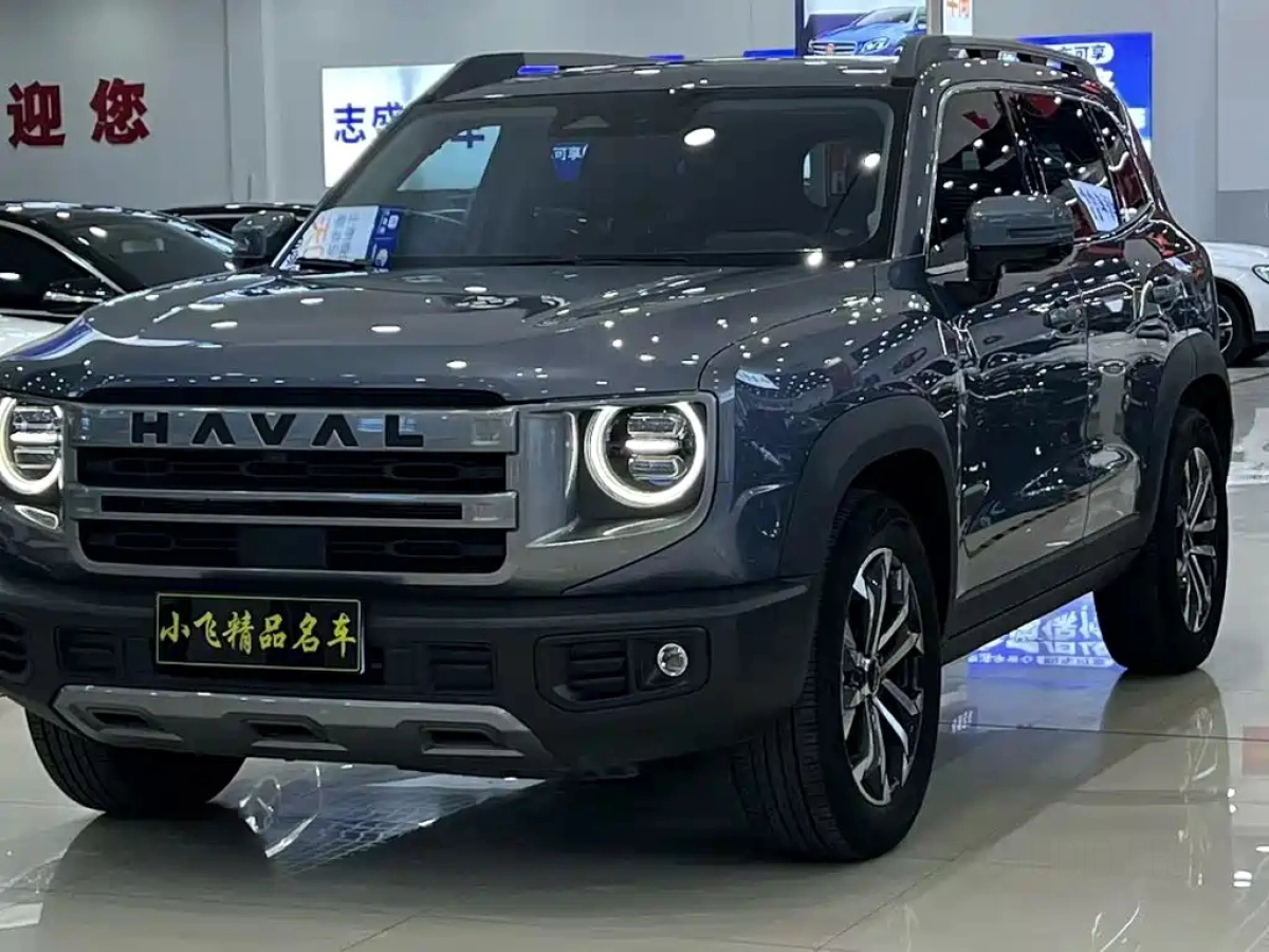 HAVAL BIG DOG