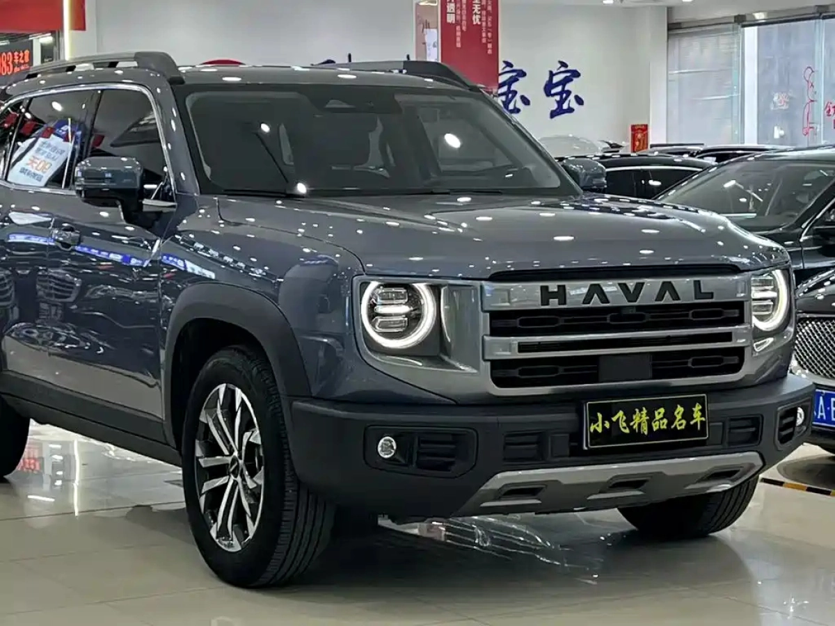 HAVAL BIG DOG