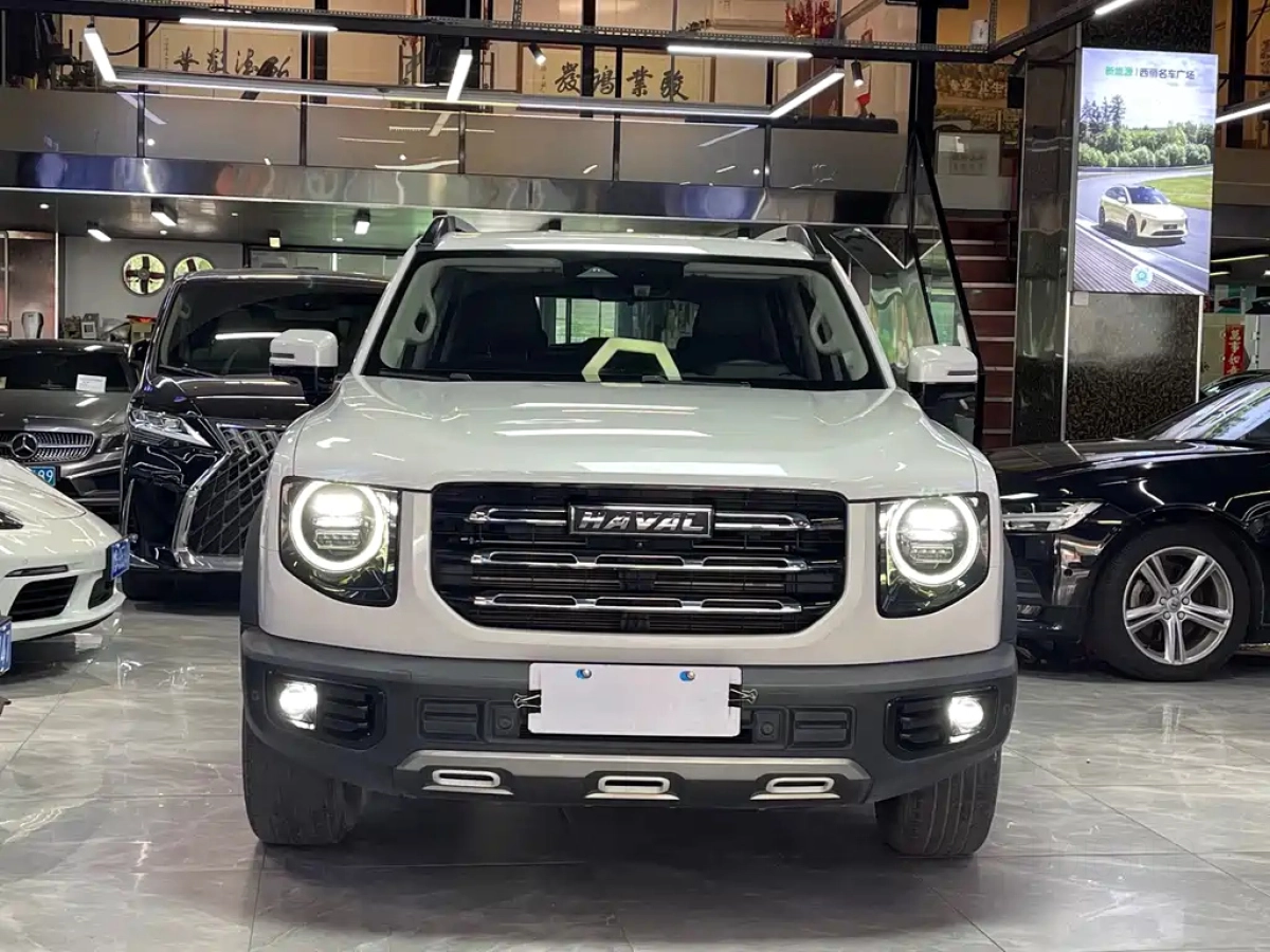 HAVAL BIG DOG