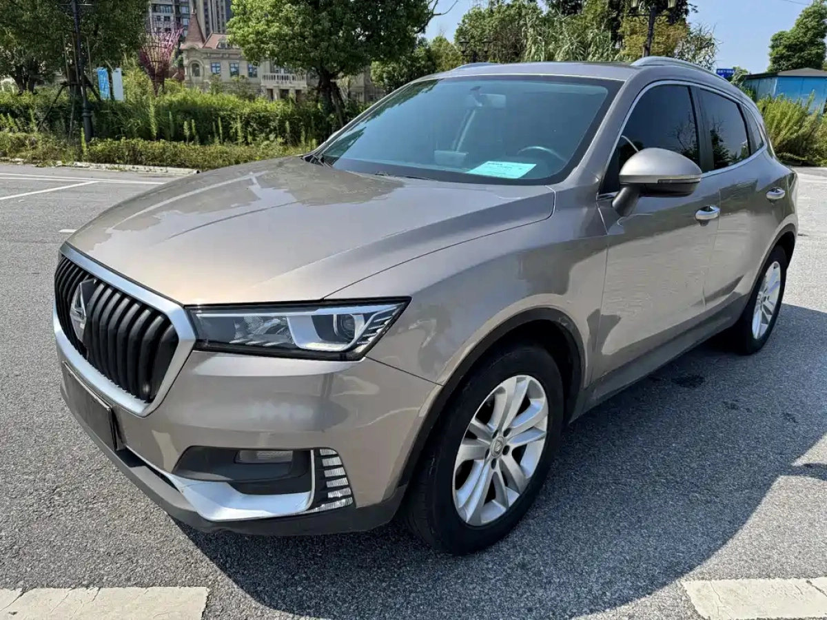 BORGWARD BX5  2019