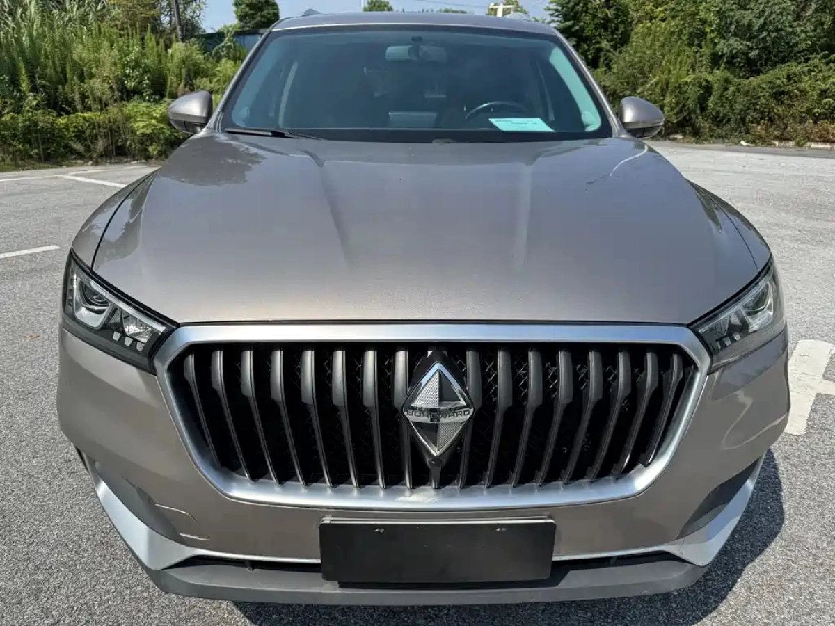 BORGWARD BX5
