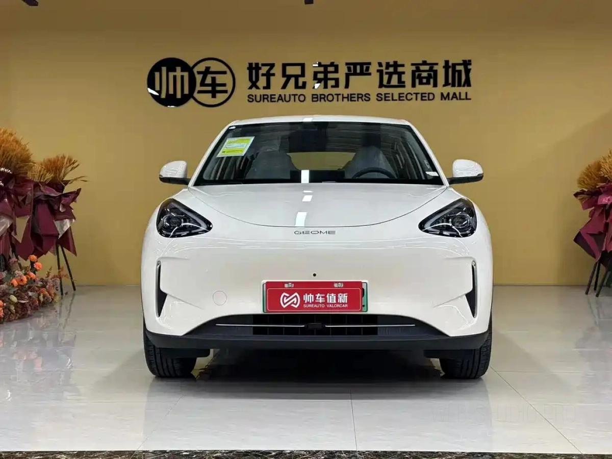 GEELY AUTO XINGYUAN