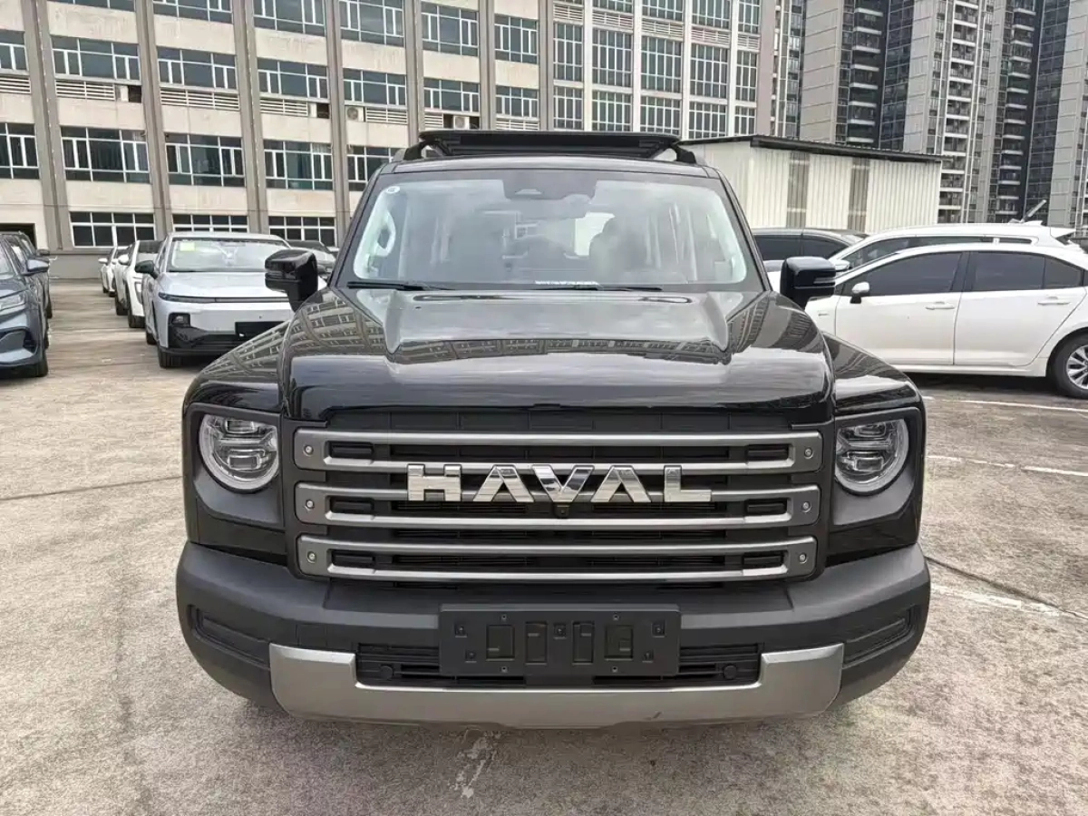HAVAL RAPTOR NEW ENERGY