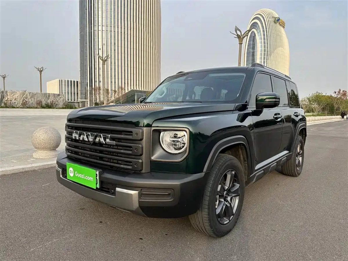 HAVAL RAPTOR NEW ENERGY