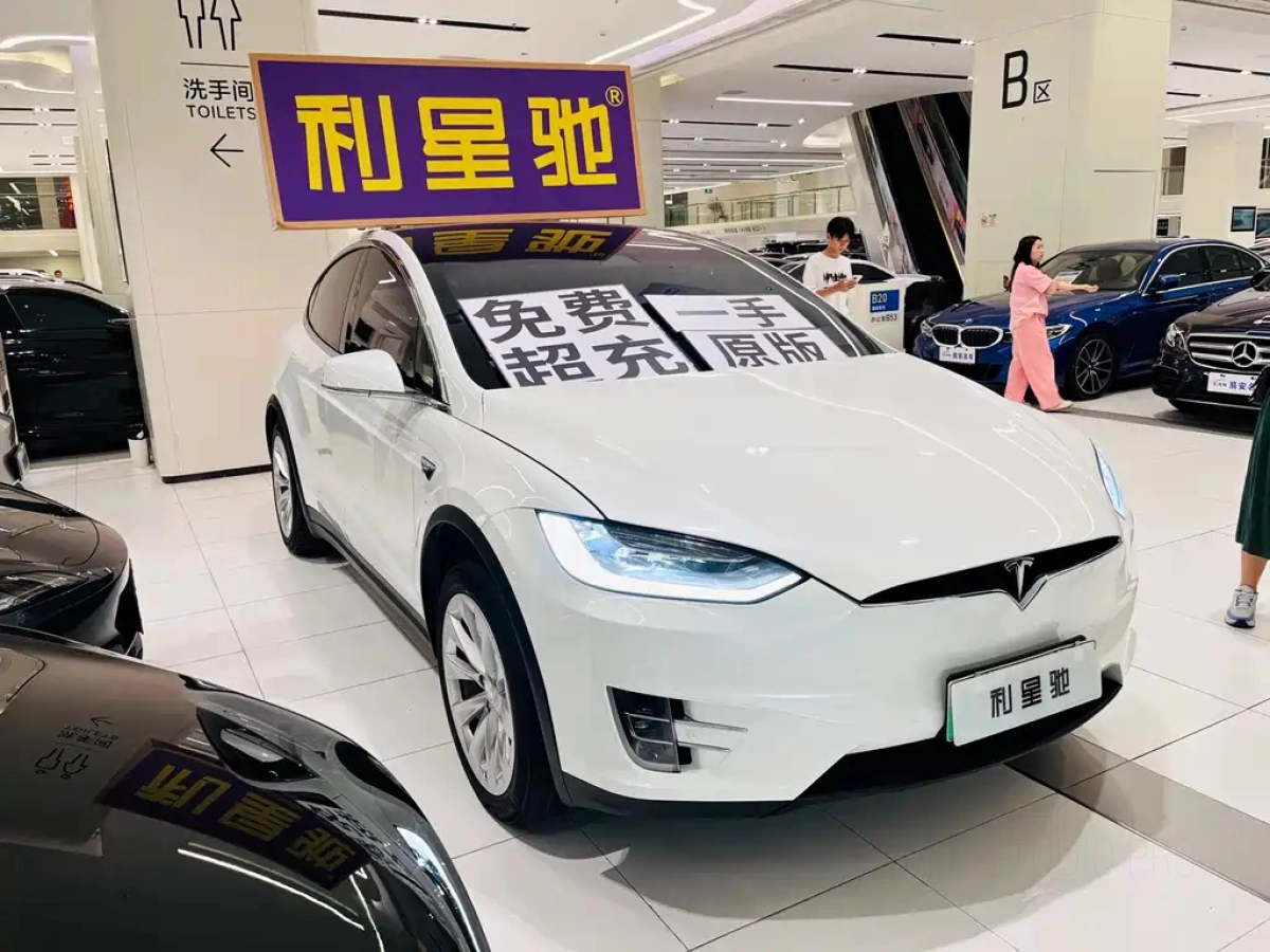 TESLA MODEL X