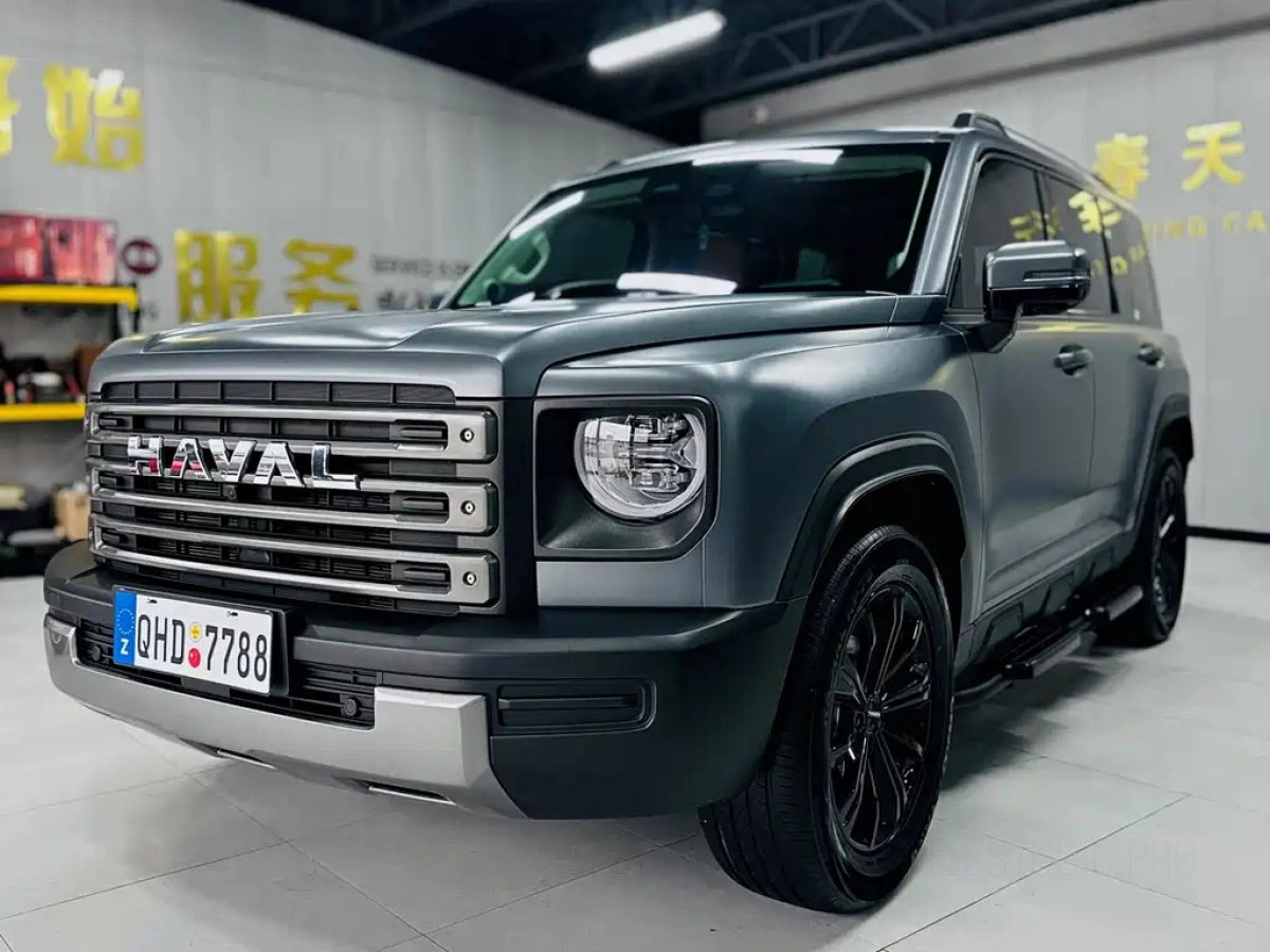 HAVAL RAPTOR NEW ENERGY