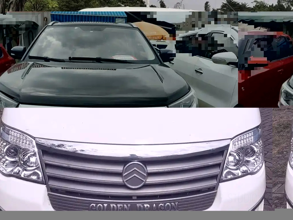 GOLDEN DRAGON SEALION NEW ENERGY