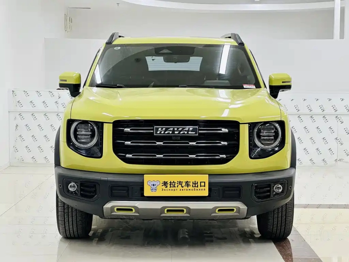 HAVAL BIG DOG