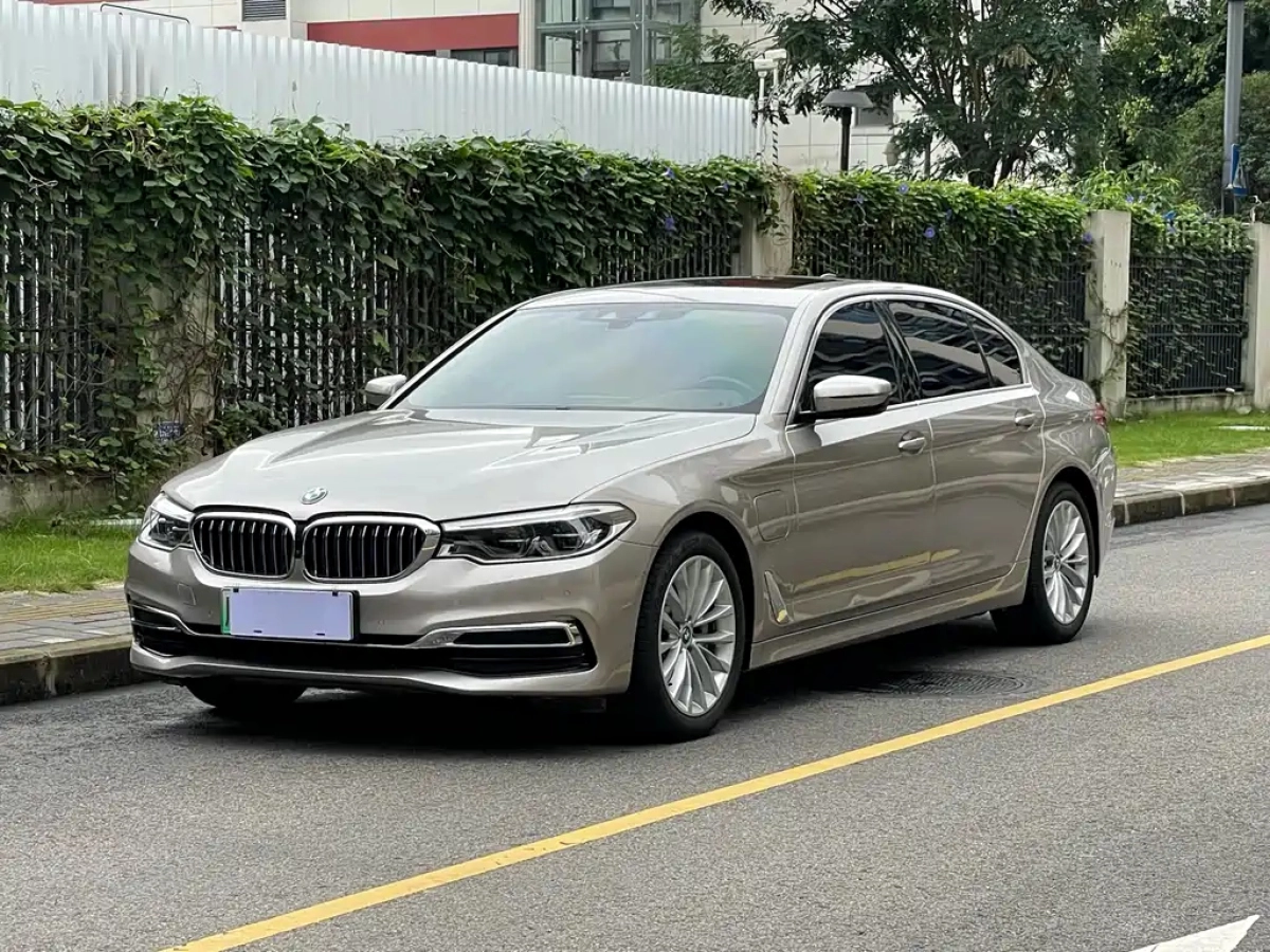 BMW 5-SERIES NEW ENERGY  2019