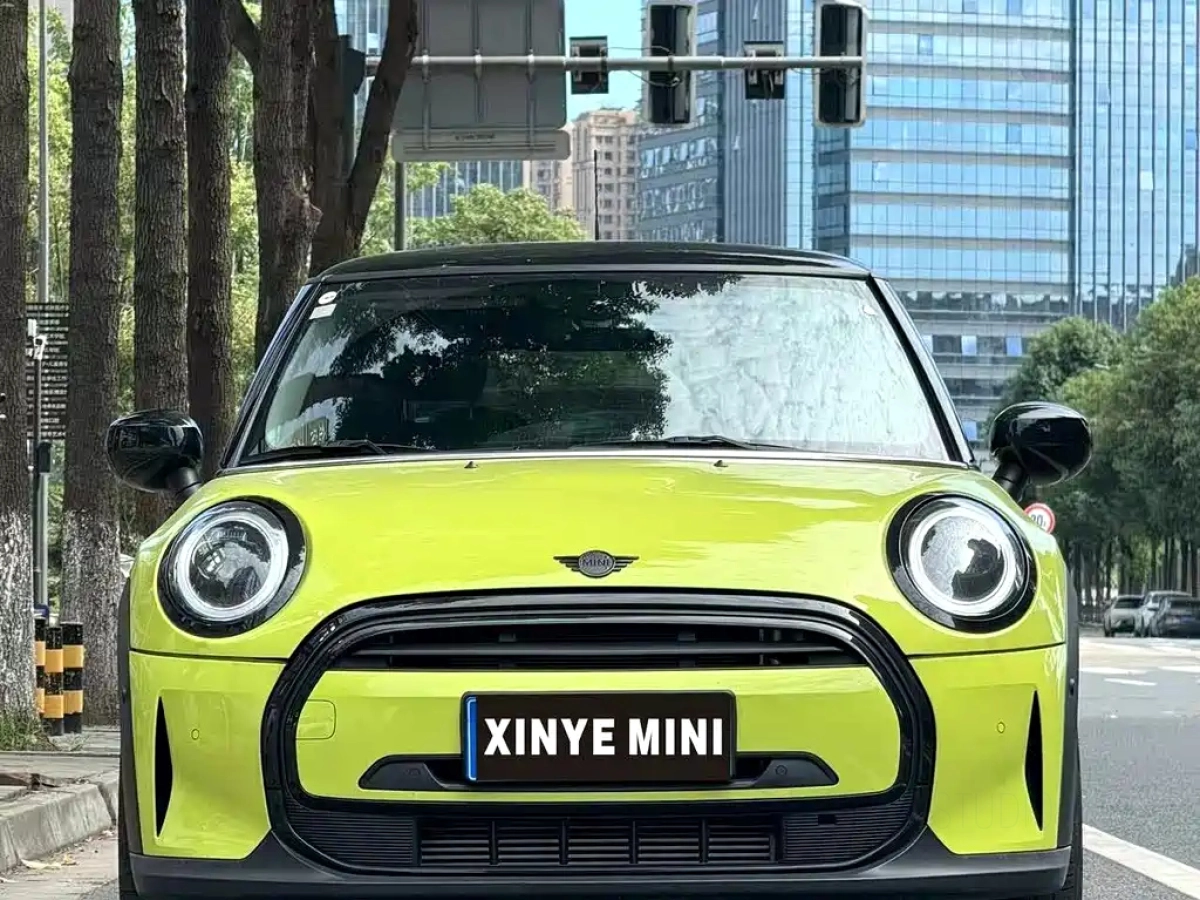 MINI OTHER