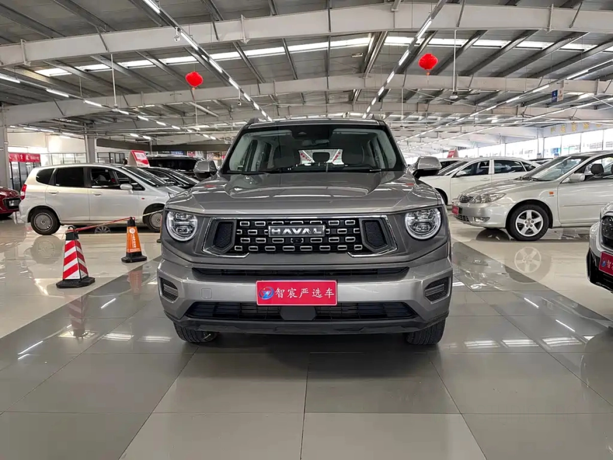 HAVAL BIG DOG II