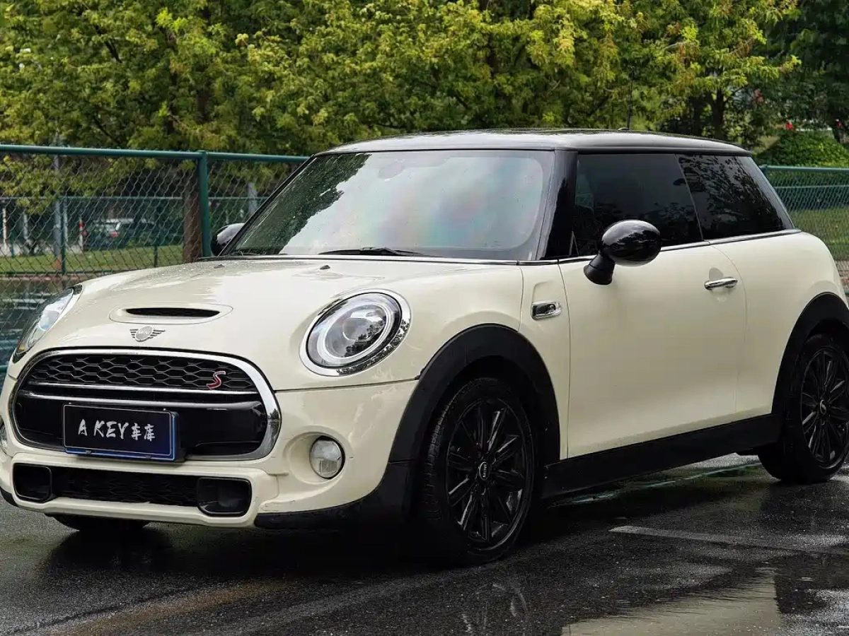 MINI OTHER  2019