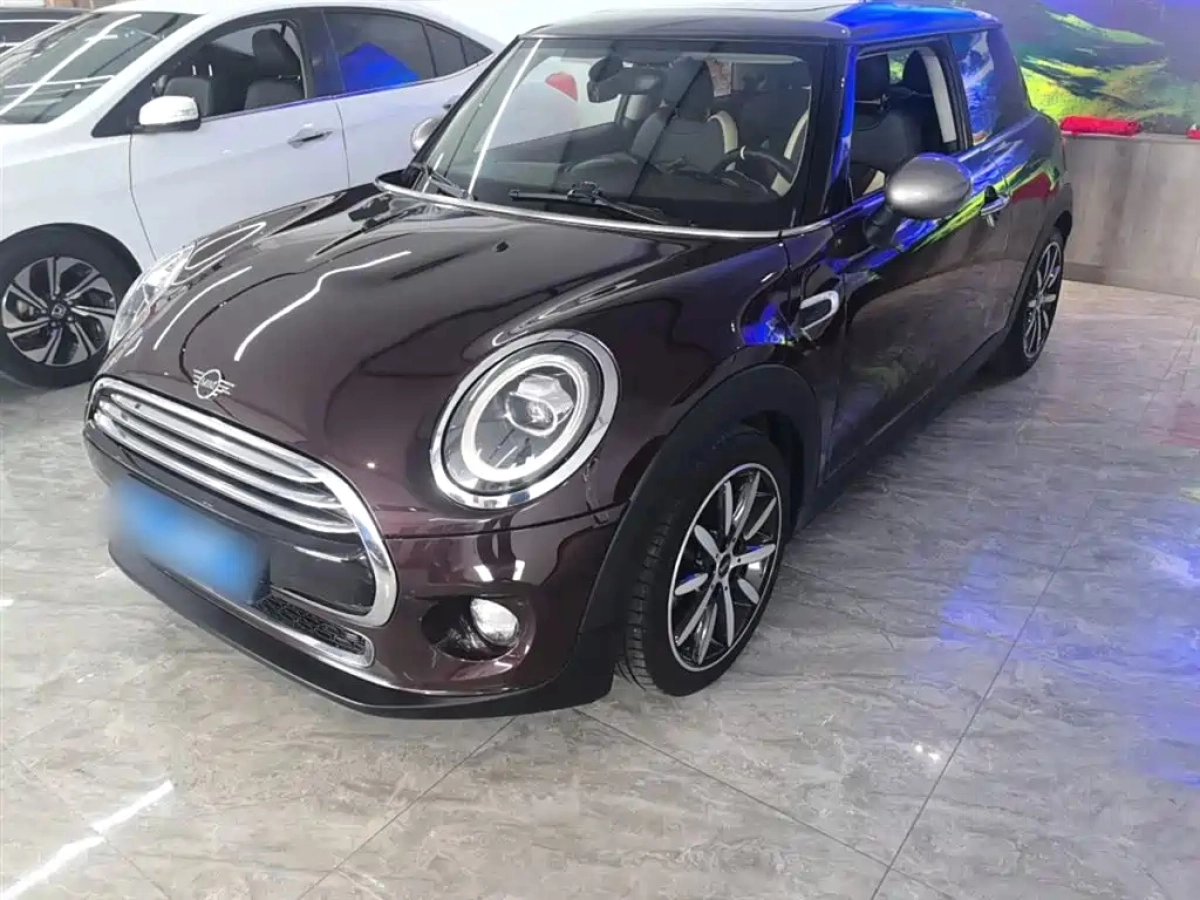 MINI OTHER  2019