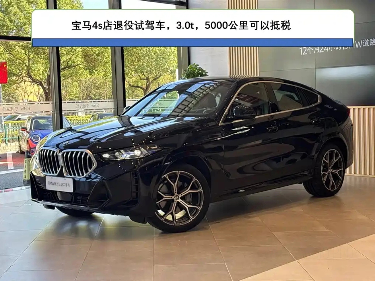 BMW X6