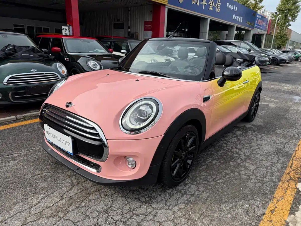 MINI OTHER  2019